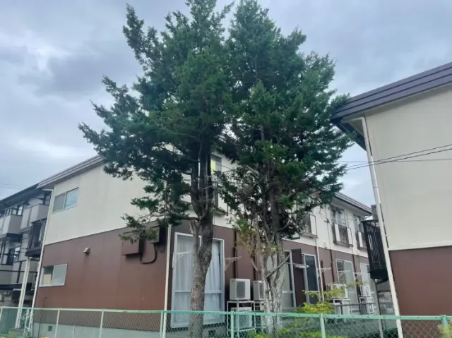 相見積もり歓迎