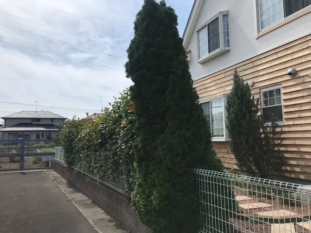 福島市の庭木伐採作業