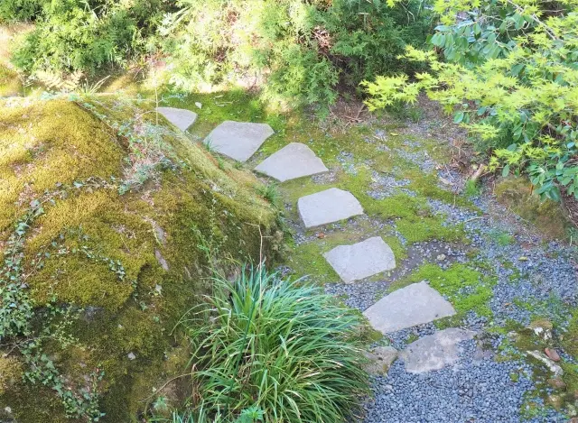 庭石撤去・お庭の解体