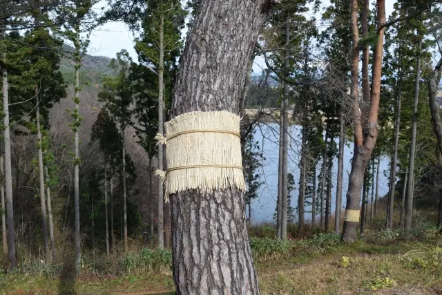 害虫駆除・消毒