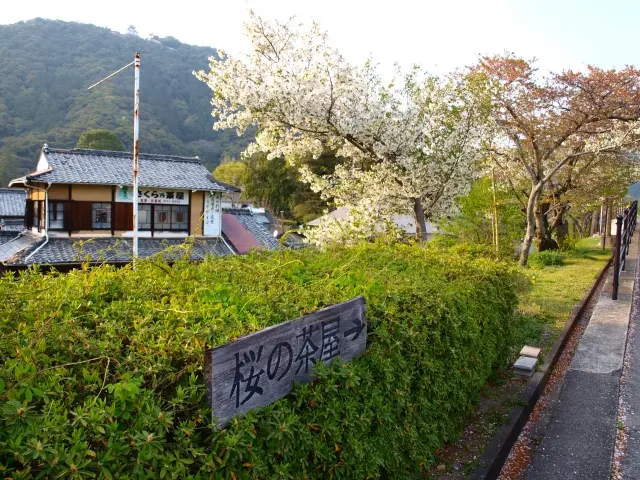 生垣