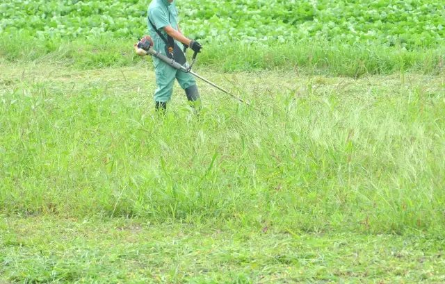 草刈り・除草作業